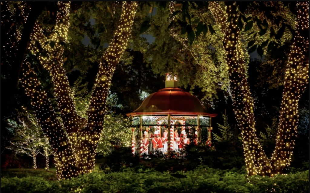 Bonick Landscaping 10 DFW Holiday Activities to Multiply Your Christmas Magic  